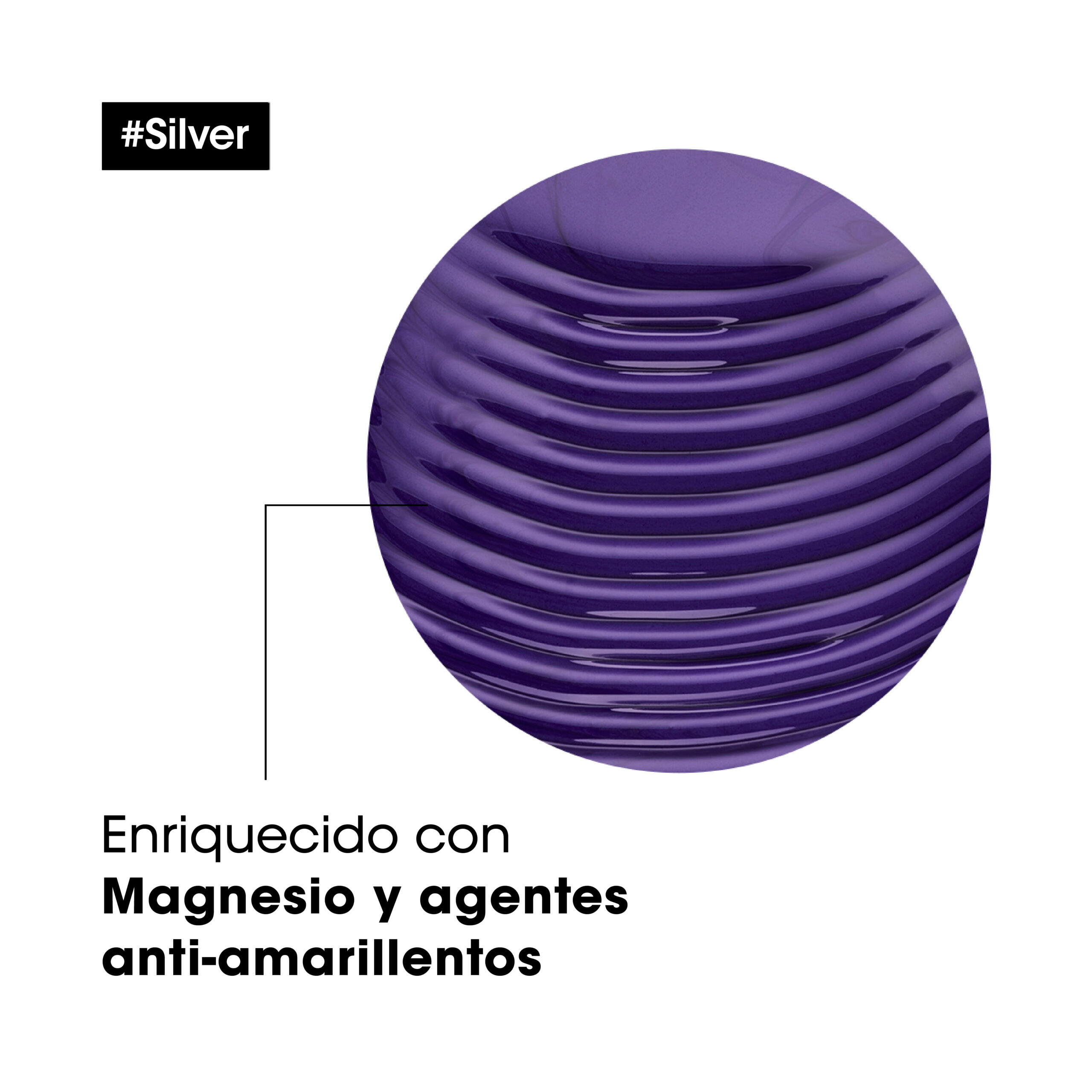 Shampoo Silver | 300 ML | L'Oréal Professionnel - Imagen 5