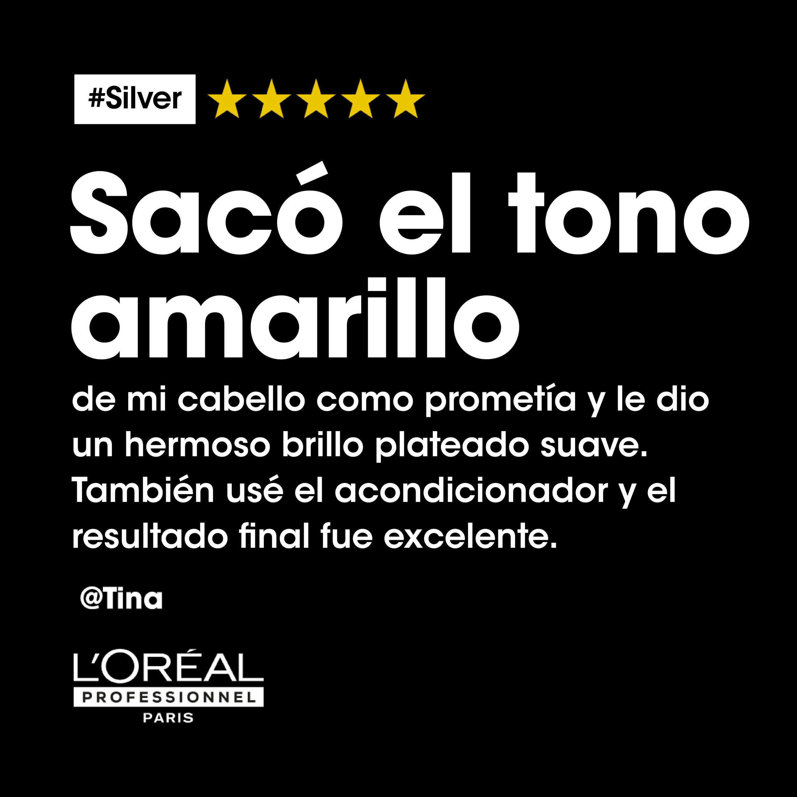Shampoo Silver | 300 ML | L'Oréal Professionnel - Imagen 6