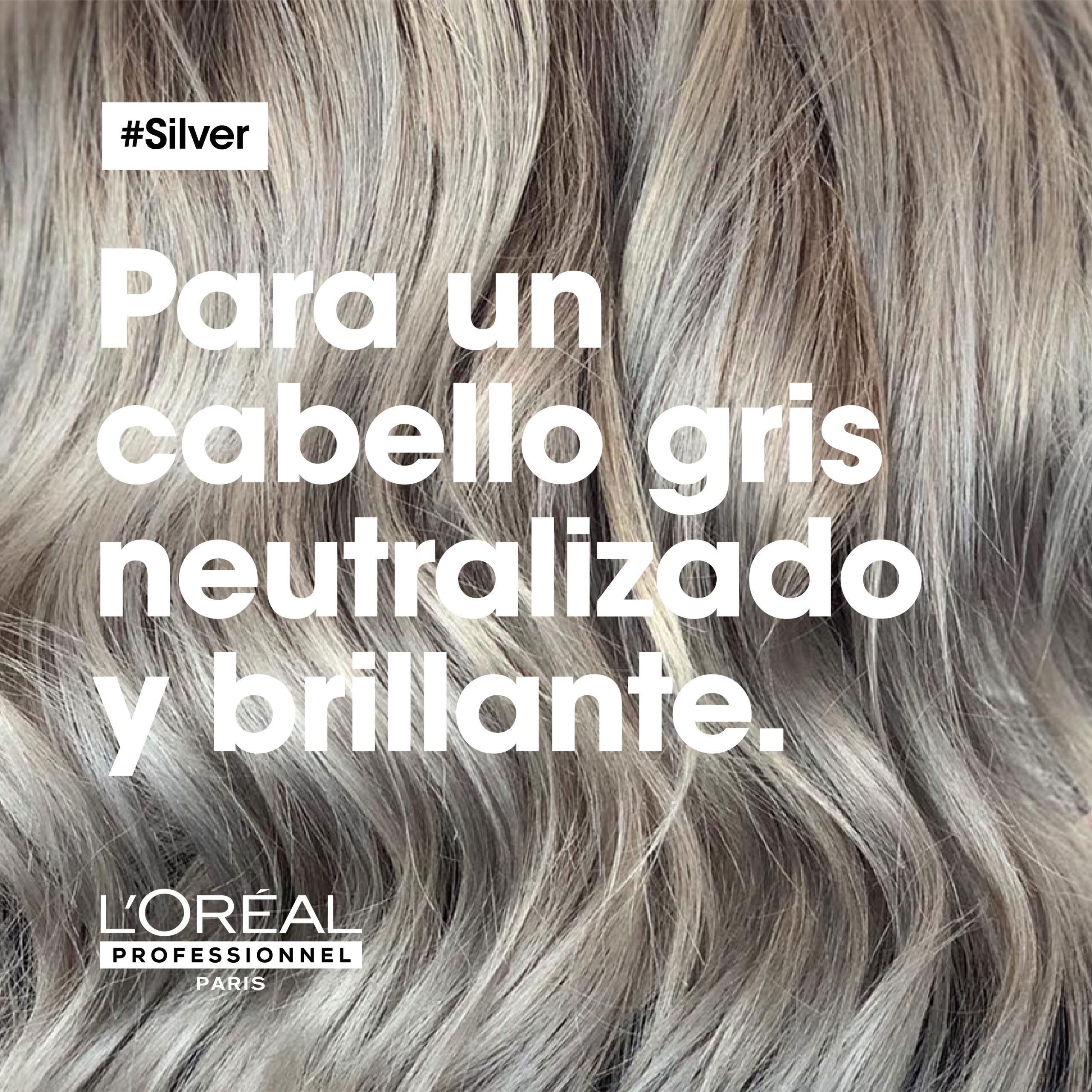 Shampoo Silver | 300 ML | L'Oréal Professionnel - Imagen 7